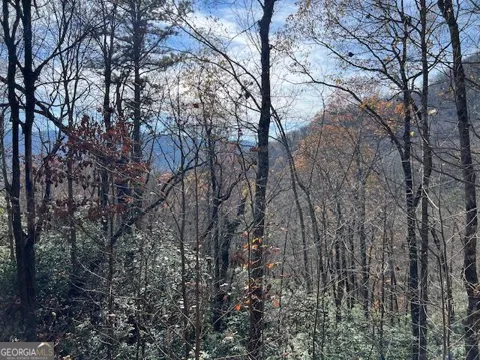 LOT 19 The Highlands at Hightower Ridge