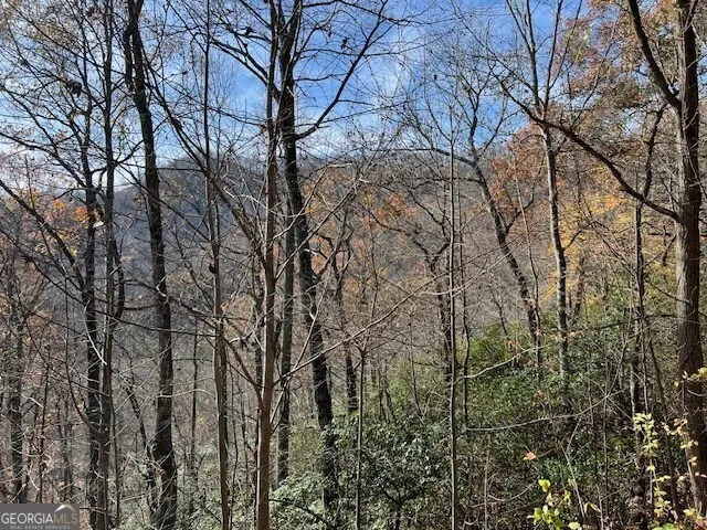 LOT 19 The Highlands at Hightower Ridge Hiawassee, GA 30546
