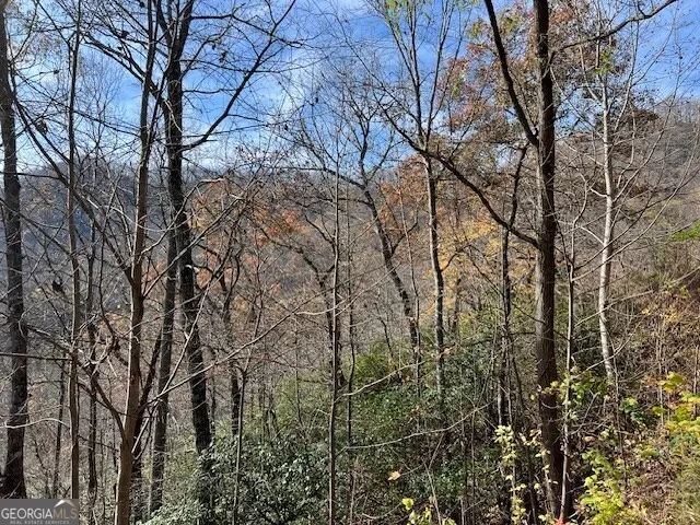 LOT 19 The Highlands at Hightower Ridge Hiawassee, GA 30546