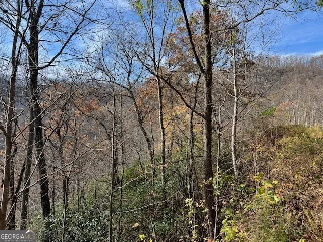 LOT 19 The Highlands at Hightower Ridge Hiawassee, GA 30546