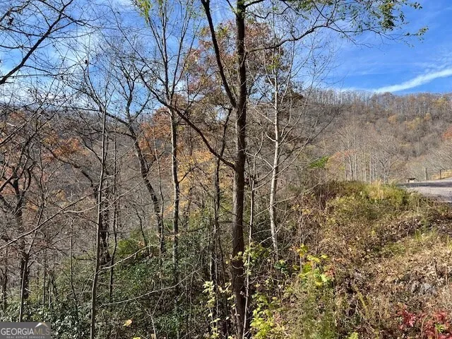 LOT 19 The Highlands at Hightower Ridge Hiawassee, GA 30546