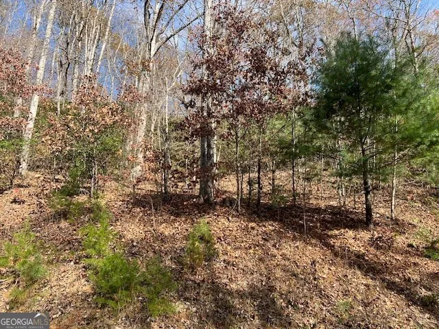 LOT 19 The Highlands at Hightower Ridge Hiawassee, GA 30546