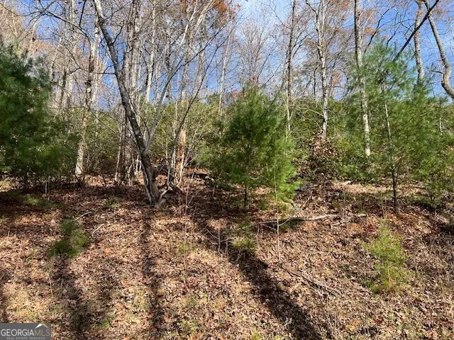 LOT 19 The Highlands at Hightower Ridge Hiawassee, GA 30546