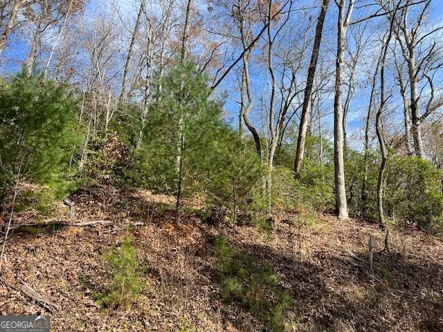 LOT 19 The Highlands at Hightower Ridge Hiawassee, GA 30546