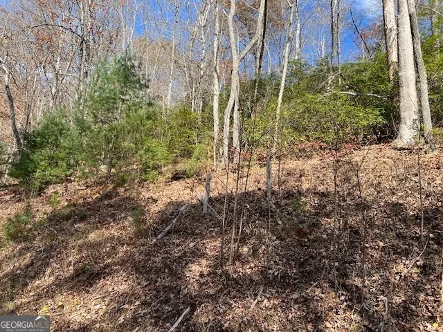 LOT 19 The Highlands at Hightower Ridge Hiawassee, GA 30546