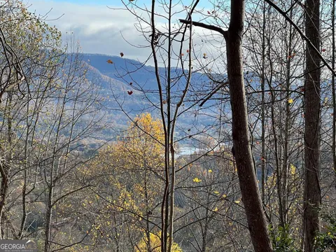 TRACT 1 Hidden Summit