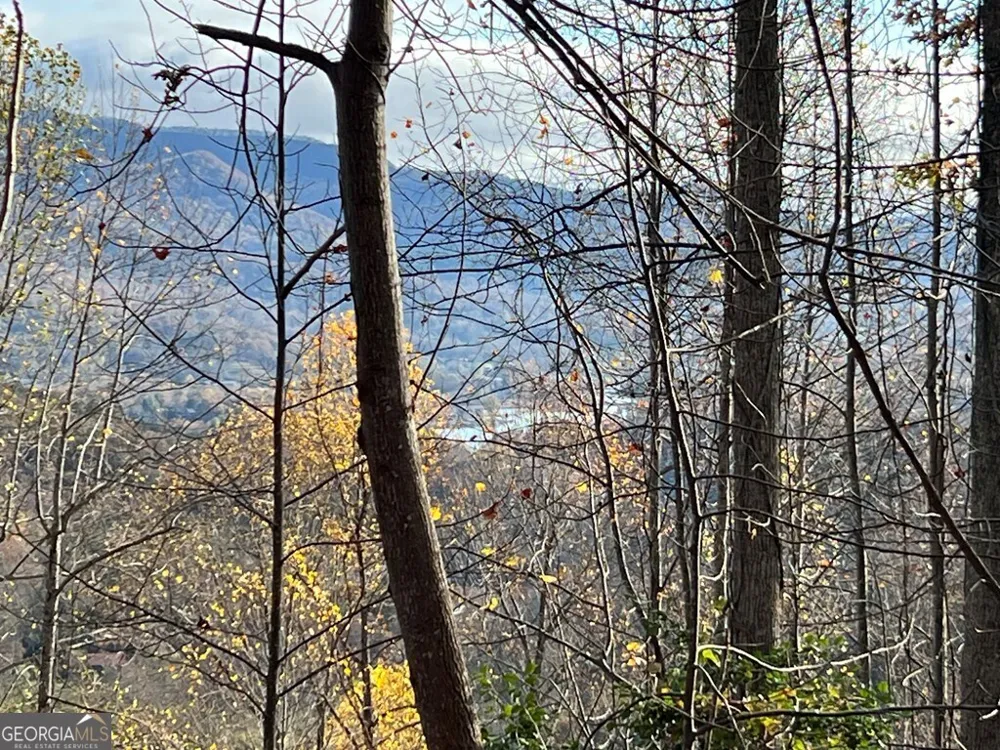 TRACT 1 Hidden Summit Hiawassee, GA 30546