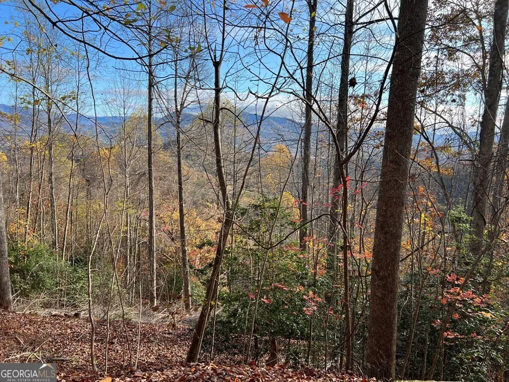 TRACT 1 Hidden Summit Hiawassee, GA 30546