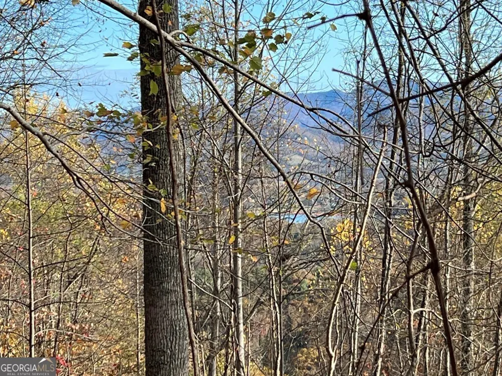 TRACT 1 Hidden Summit Hiawassee, GA 30546