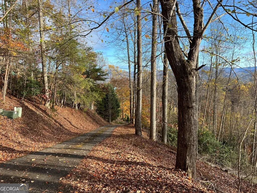 TRACT 1 Hidden Summit Hiawassee, GA 30546
