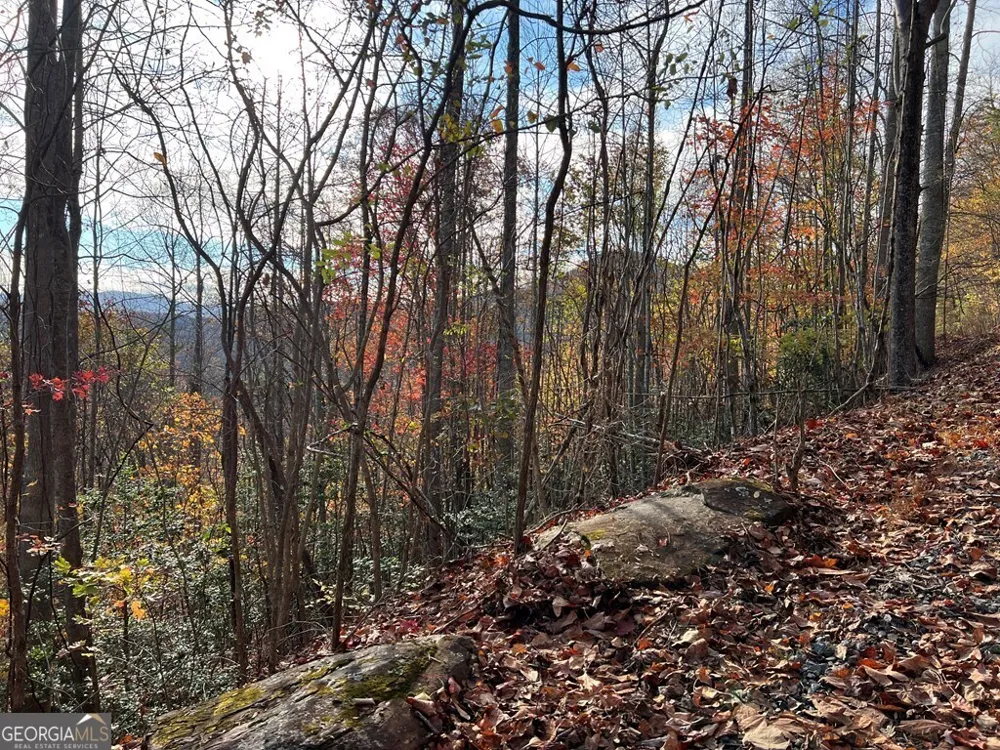 TRACT 1 Hidden Summit Hiawassee, GA 30546