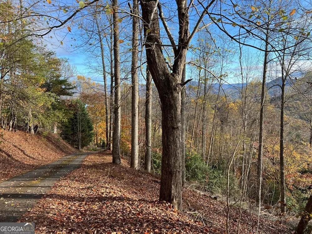 TRACT 1 Hidden Summit Hiawassee, GA 30546