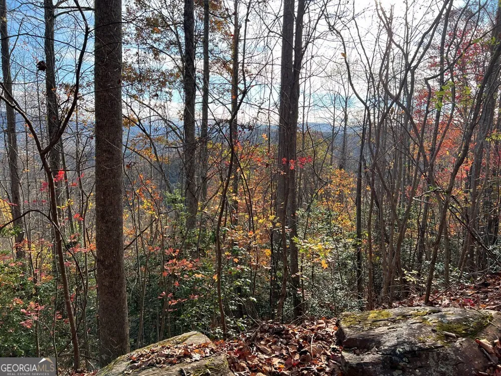 TRACT 1 Hidden Summit Hiawassee, GA 30546