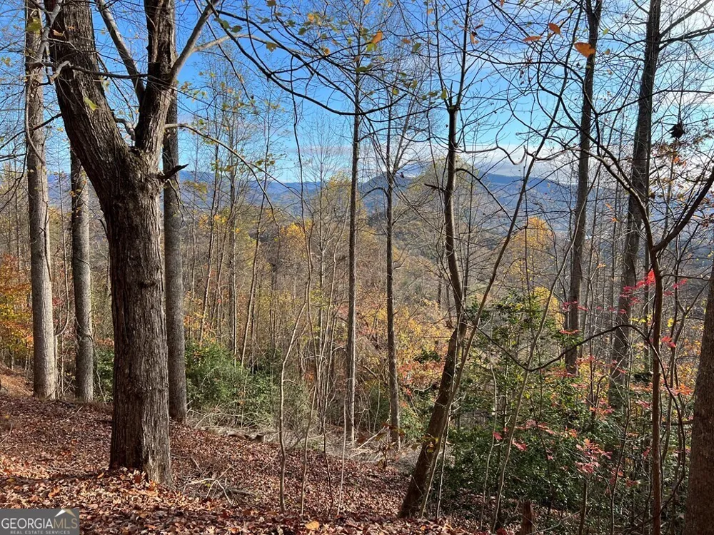 TRACT 1 Hidden Summit Hiawassee, GA 30546