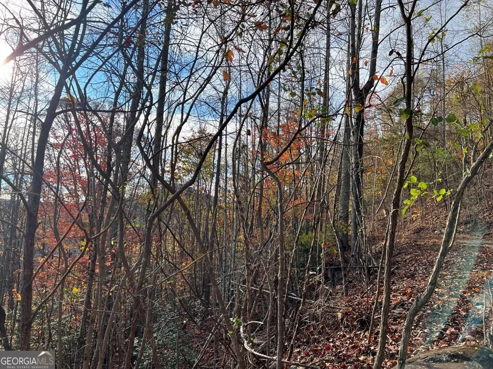 TRACT 1 Hidden Summit Hiawassee, GA 30546