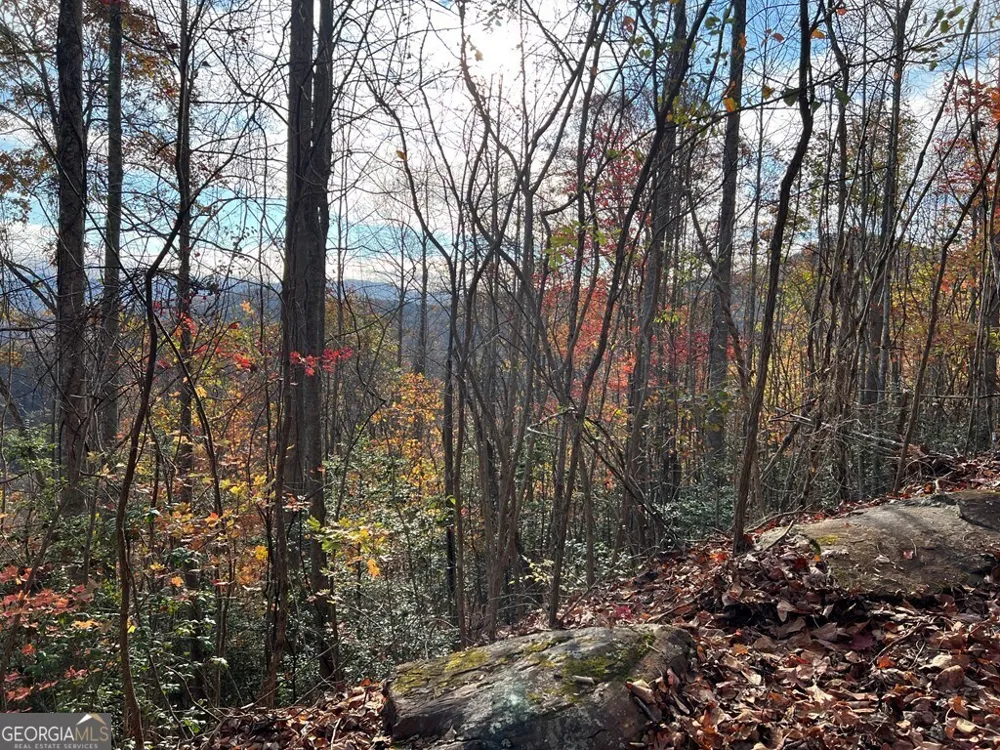 TRACT 1 Hidden Summit Hiawassee, GA 30546