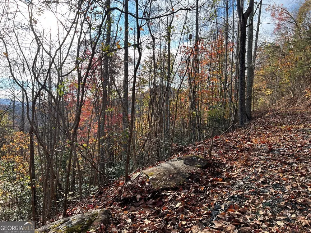 TRACT 1 Hidden Summit Hiawassee, GA 30546