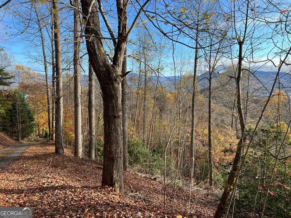 TRACT 1 Hidden Summit Hiawassee, GA 30546