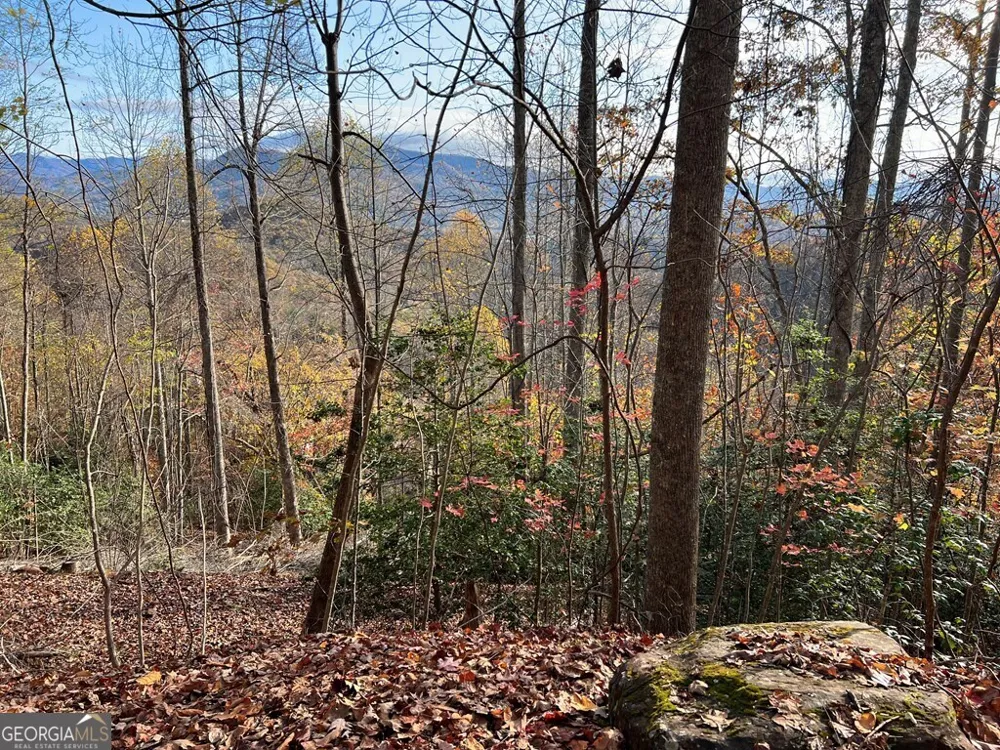 TRACT 1 Hidden Summit Hiawassee, GA 30546