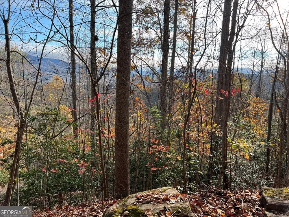 TRACT 1 Hidden Summit Hiawassee, GA 30546