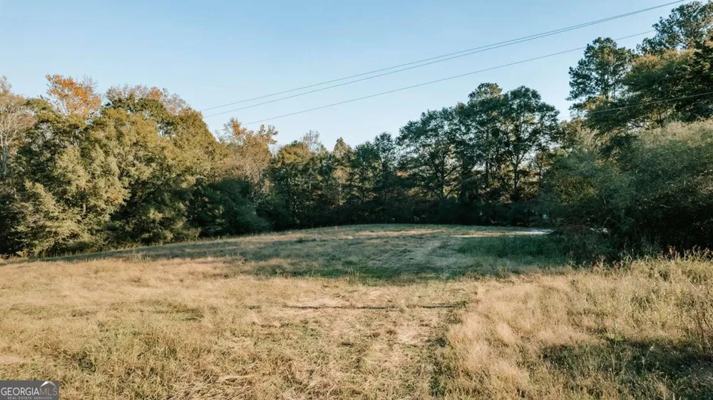 TRACT 7 Robert Hardeman Winterville, GA 30683