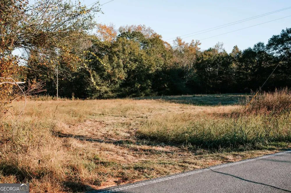 TRACT 7 Robert Hardeman Winterville, GA 30683