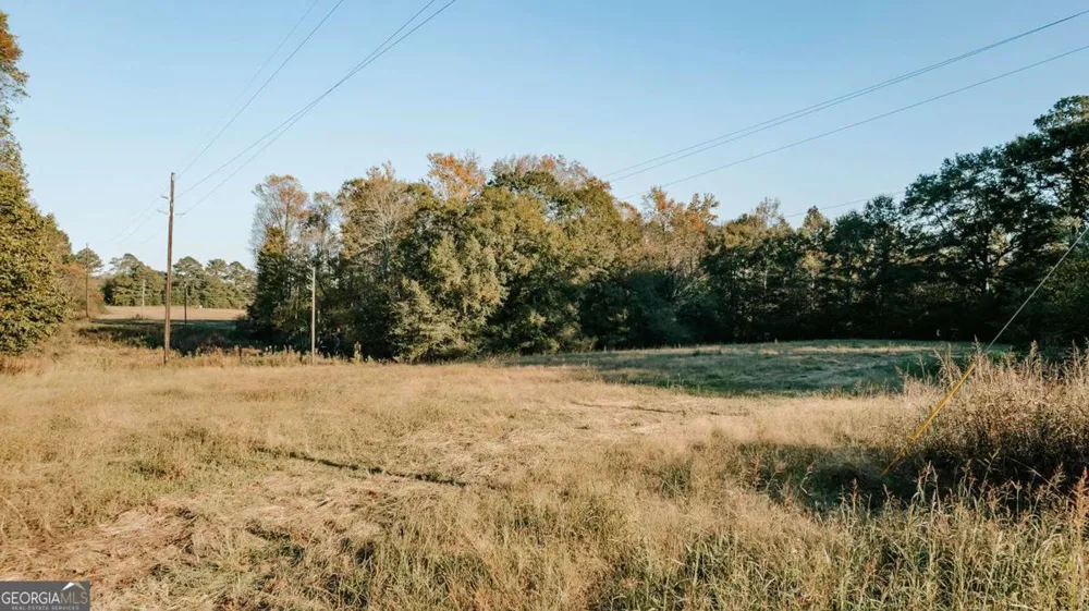 TRACT 7 Robert Hardeman Winterville, GA 30683