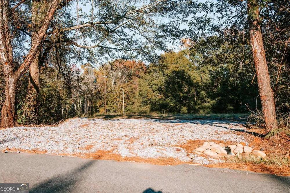 TRACT 7 Robert Hardeman Winterville, GA 30683