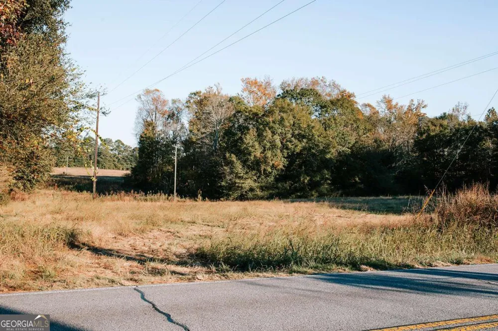 TRACT 7 Robert Hardeman Winterville, GA 30683