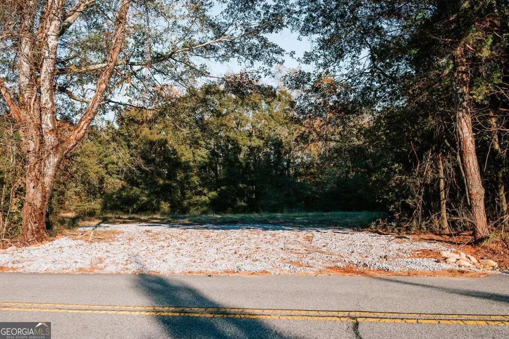 TRACT 7 Robert Hardeman Winterville, GA 30683
