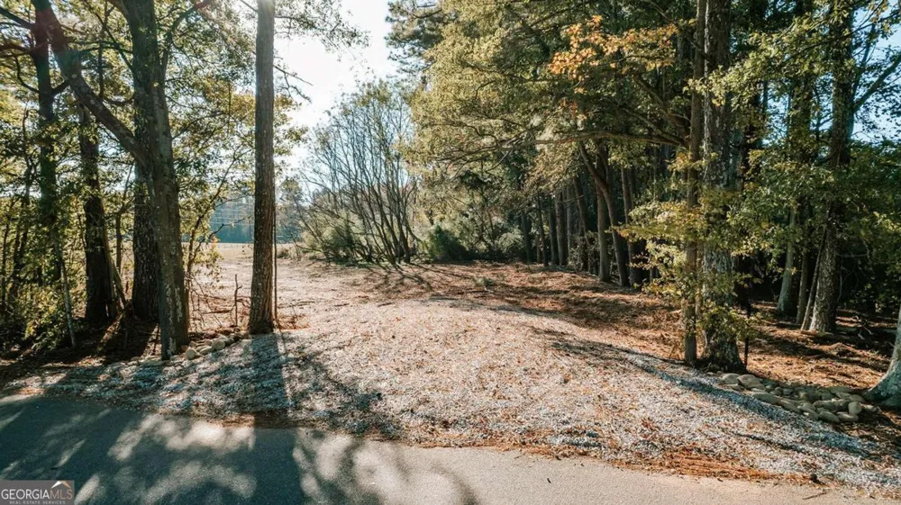 TRACT 6 Lakeview DR Winterville, GA 30683