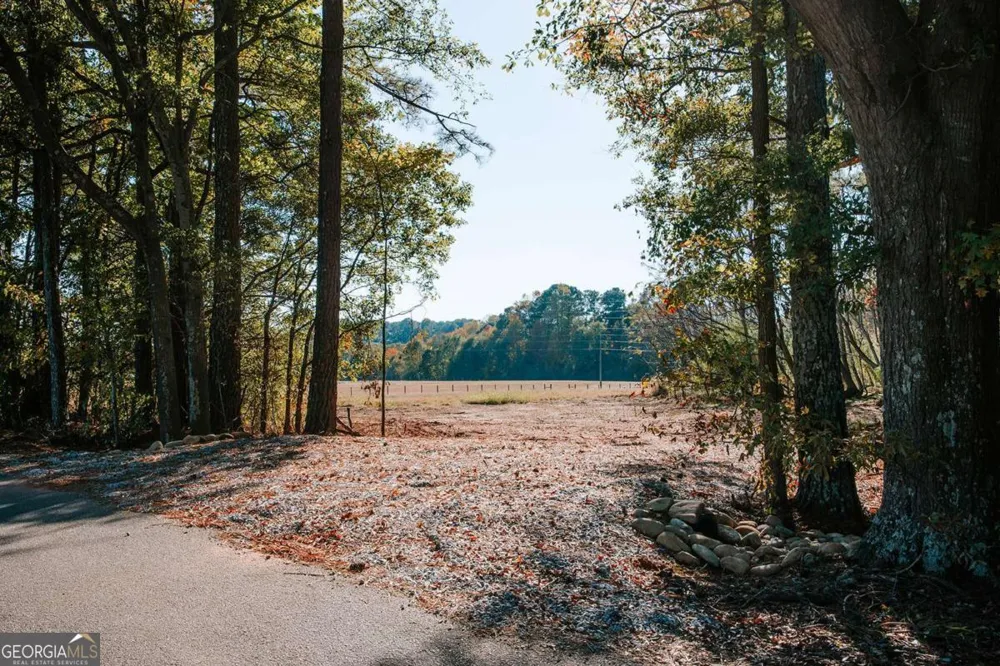 TRACT 6 Lakeview DR Winterville, GA 30683