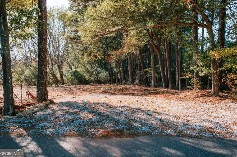 TRACT 6 Lakeview DR Winterville, GA 30683
