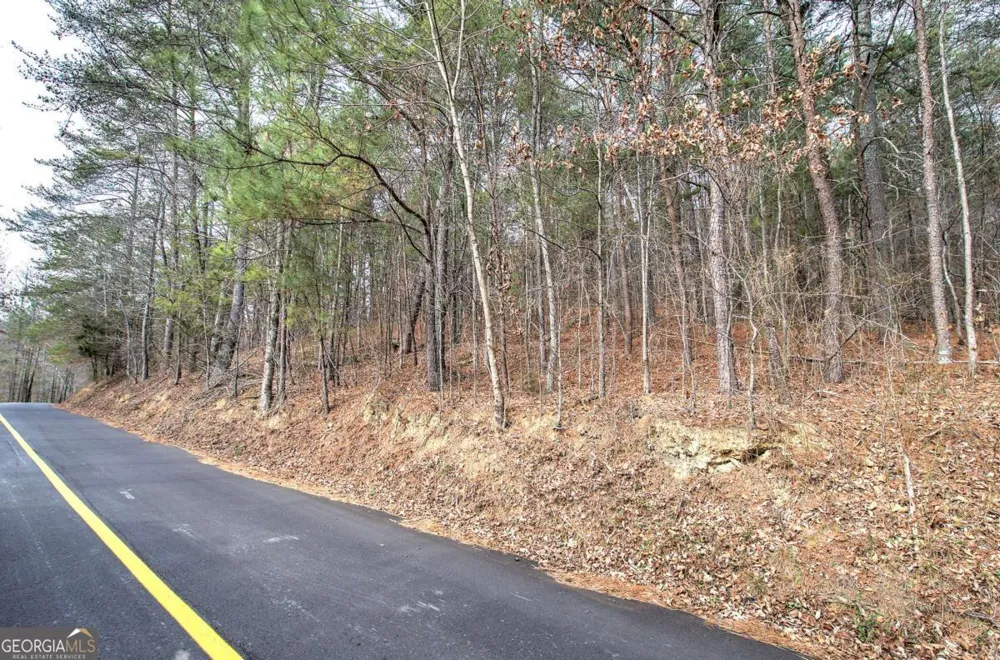 0 Manning Mill RD Summerville, GA 30747