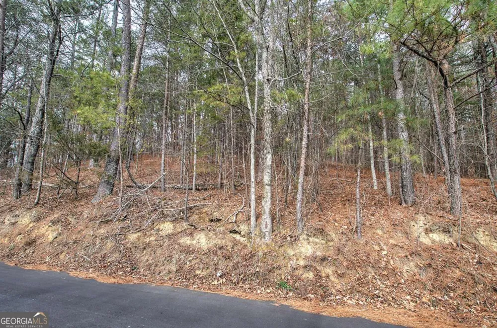 0 Manning Mill RD Summerville, GA 30747