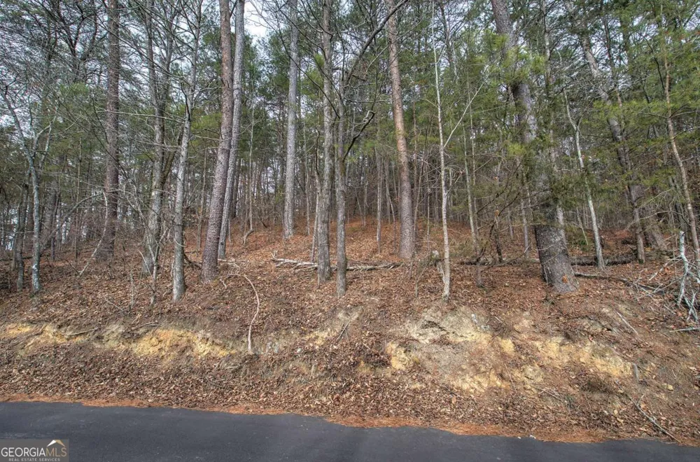 0 Manning Mill RD Summerville, GA 30747
