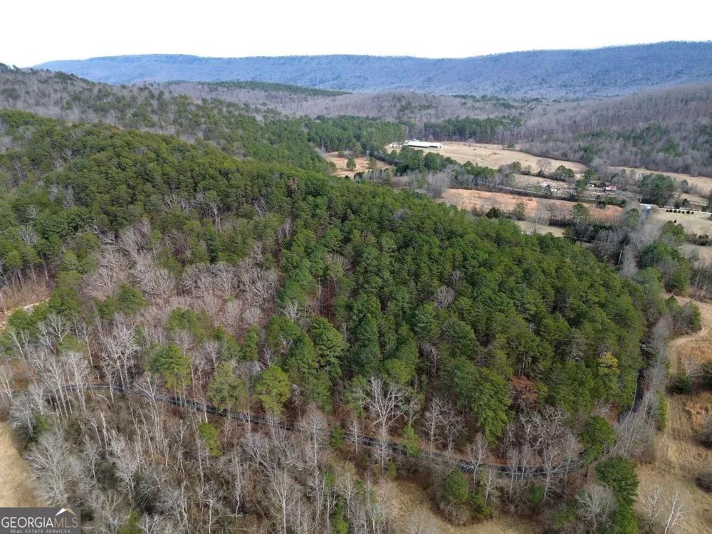 0 Manning Mill RD Summerville, GA 30747