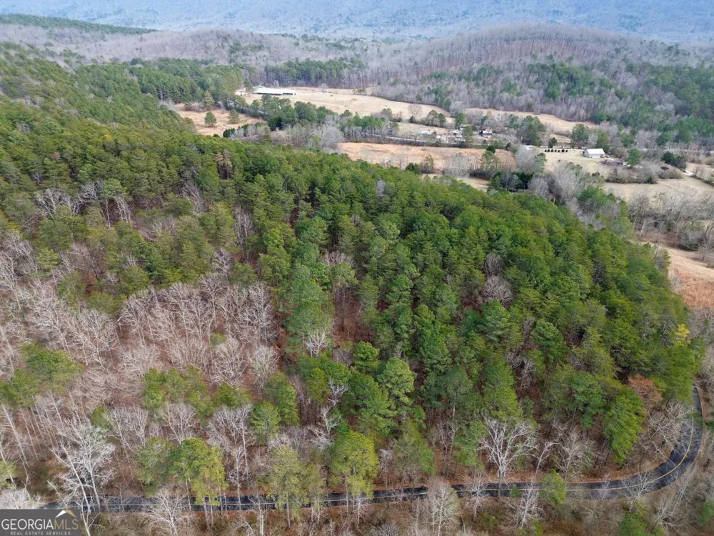 0 Manning Mill RD Summerville, GA 30747