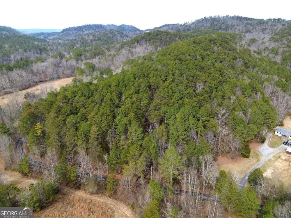 0 Manning Mill RD Summerville, GA 30747