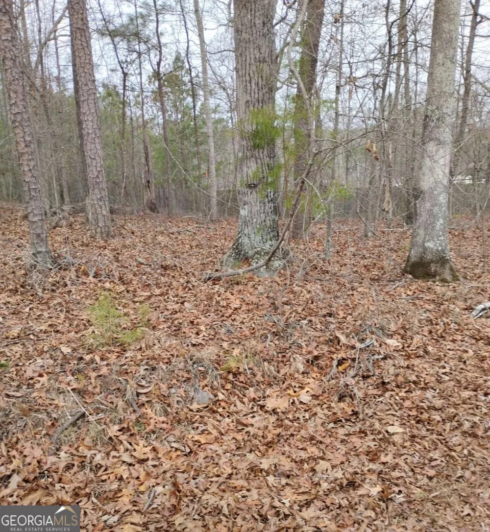 0 Willie West RD Canton, GA 30114