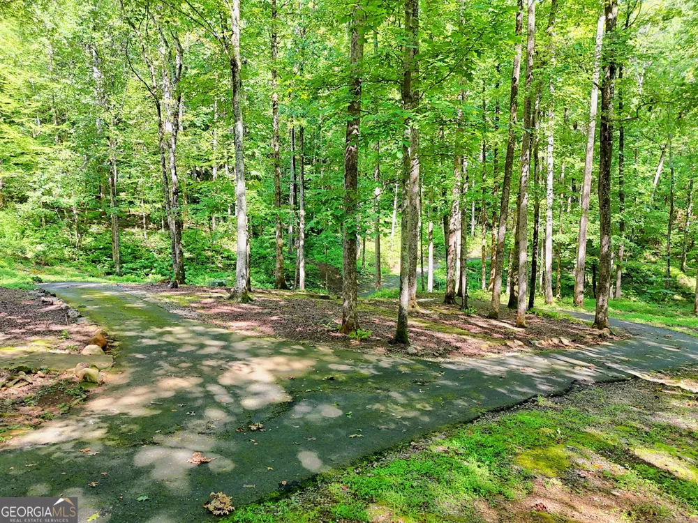 876 WHITETAIL TRL Clayton, GA 30525