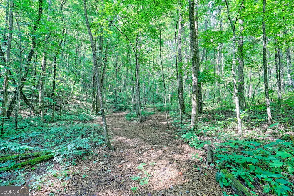 876 WHITETAIL TRL Clayton, GA 30525