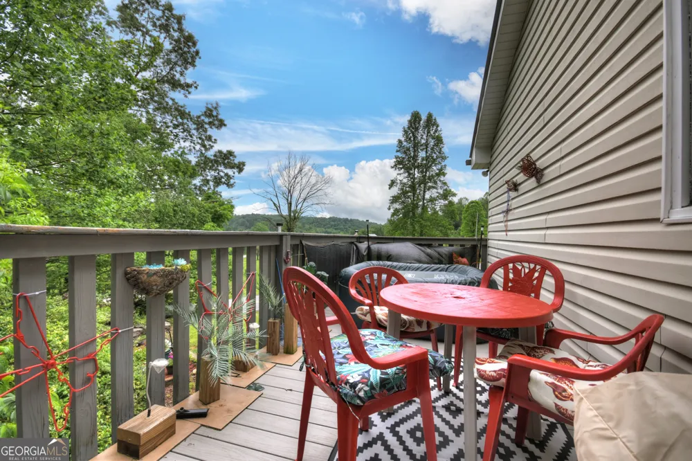 1359 Salem RD Mineral Bluff, GA 30559