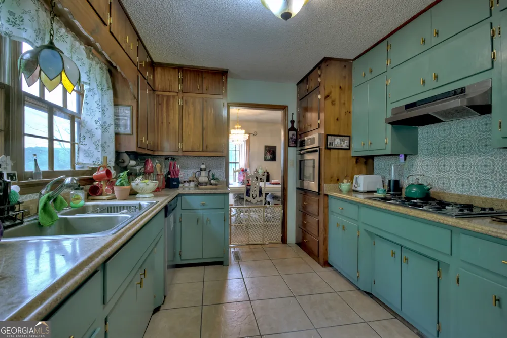 1359 Salem RD Mineral Bluff, GA 30559
