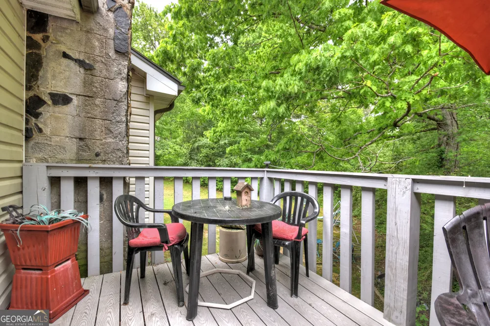 1359 Salem RD Mineral Bluff, GA 30559