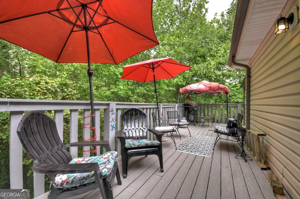 1359 Salem RD Mineral Bluff, GA 30559
