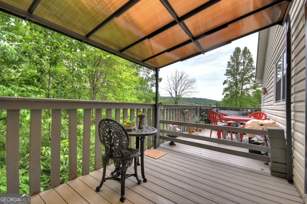 1359 Salem RD Mineral Bluff, GA 30559