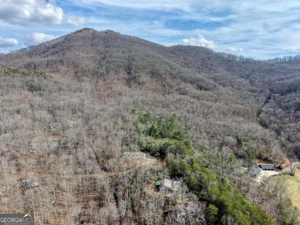 1189 Old Forge ESTS Hiawassee, GA 30546