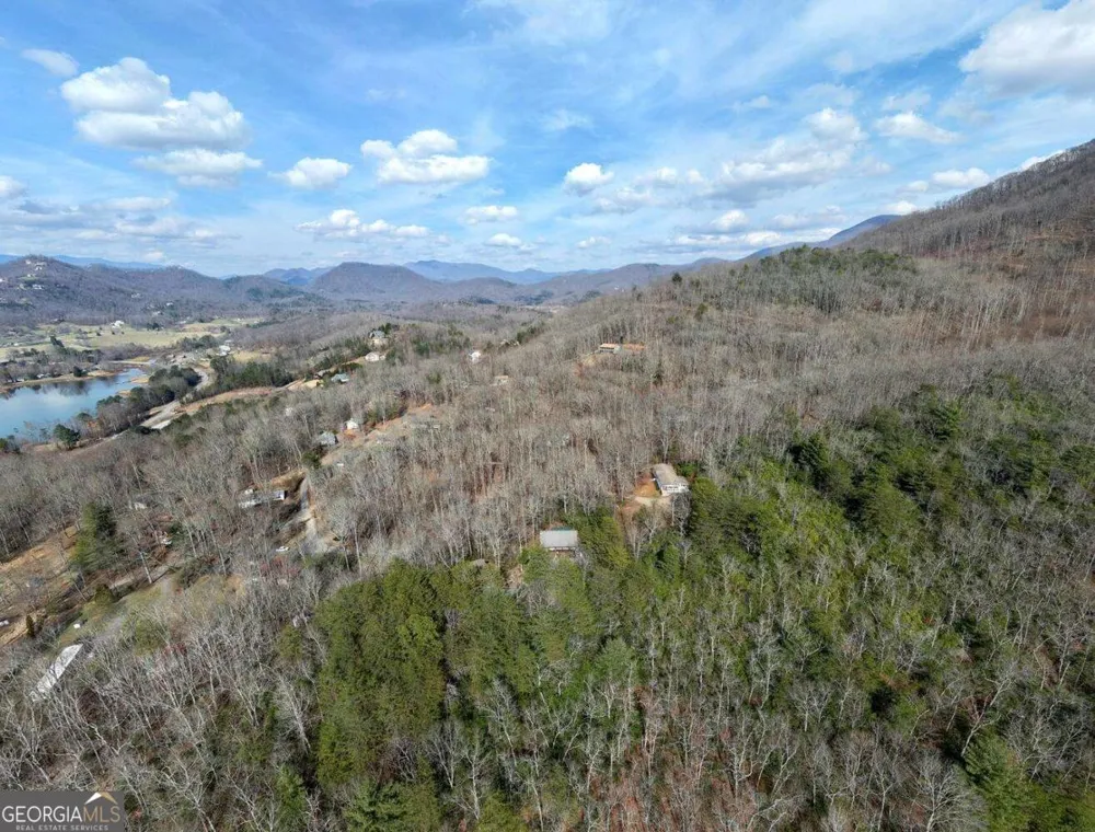 1189 Old Forge ESTS Hiawassee, GA 30546