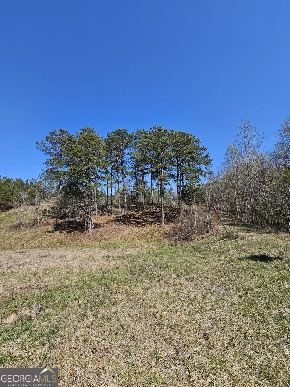 0 Maple Grove Church RD Chatsworth, GA 30705